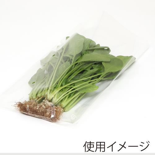 ボードン25 10 穴有 百枚