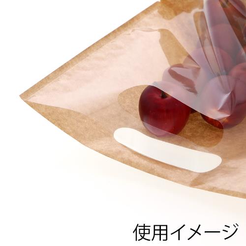 紙プラス スタンドパック 40-2 100枚入