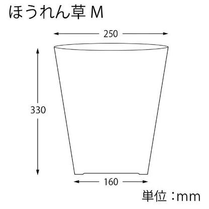 柄ボードン20ほうれん草 紫ML 百枚