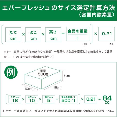 エバーフレッシュ QJ-300 100個入