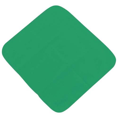 マイクロファイバークロスグリーン 5883320