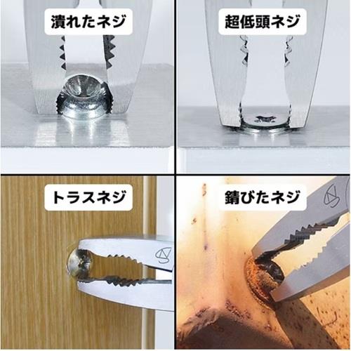 ミャクミャクザウルス