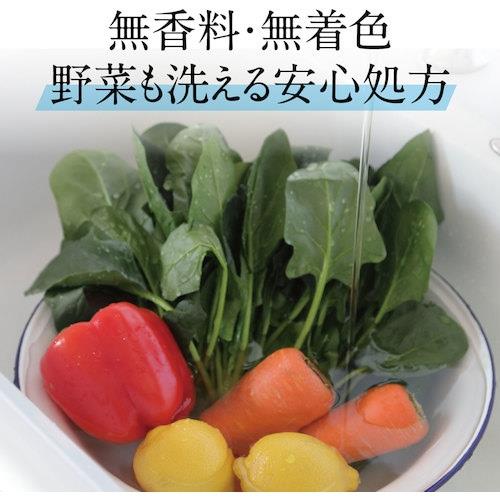 ヤシノミ洗剤