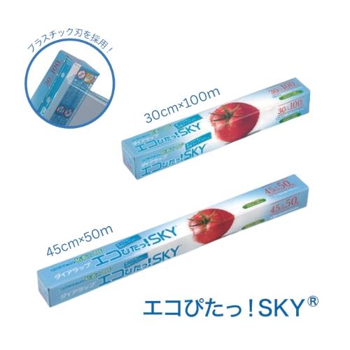 ダイアラップ エコぴた！ SKY