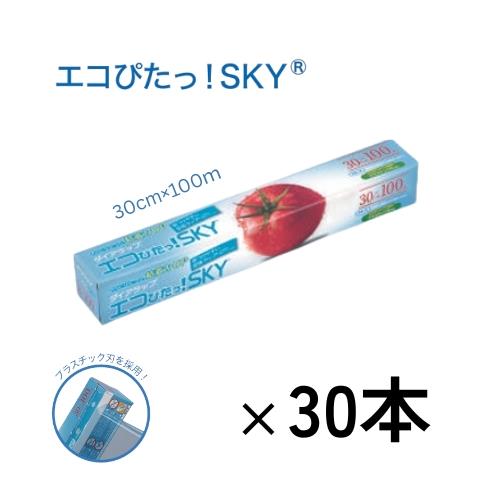 ダイアラップ エコぴた！SKY (1ケース:30本入)