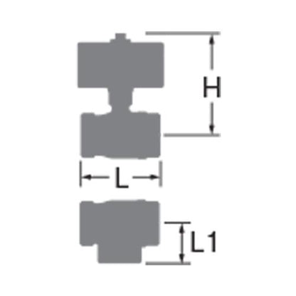 青銅製ボールバルブ(三方) ＜C-TNE10K＞
