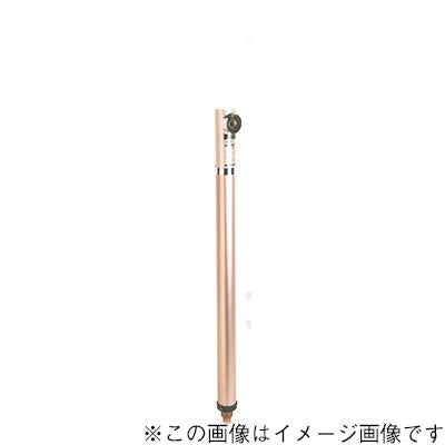 ガーデンライト付き不凍水栓栓(円柱型) ＜ARSN-L＞