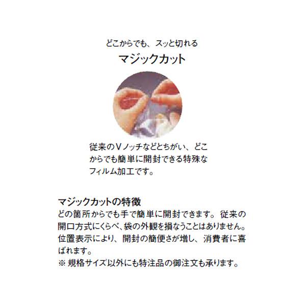 飛竜HNタイプ