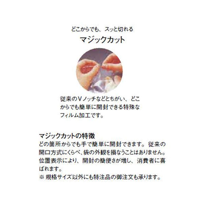 飛竜HNタイプ