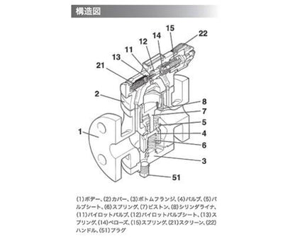 マイクロベローズ式パイロット作動形蒸気用減圧弁 ＜RE10N＞