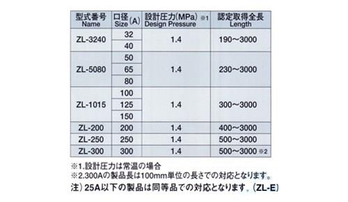 ZL-10加圧送水(水配管用)