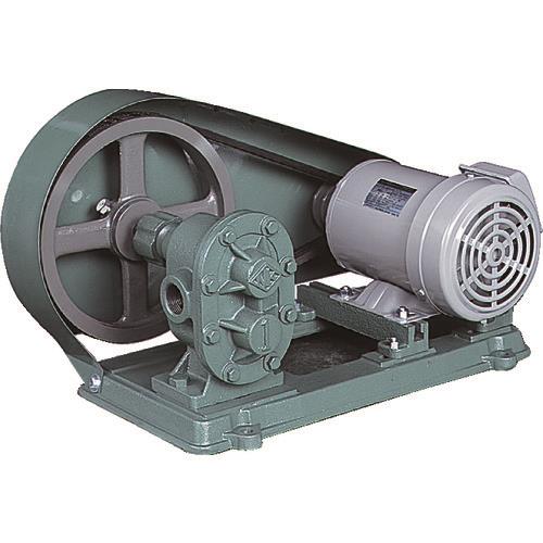 NK ギヤーポンプ(電動機連結型) 口径25A KAS10