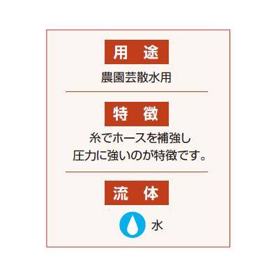 ゴールデンファミリー