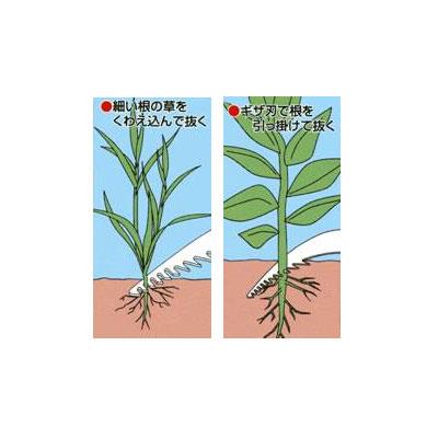 モンブラン 草取り一番百発百中