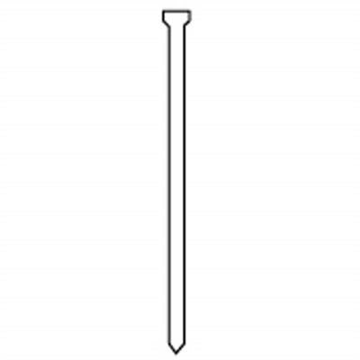 型