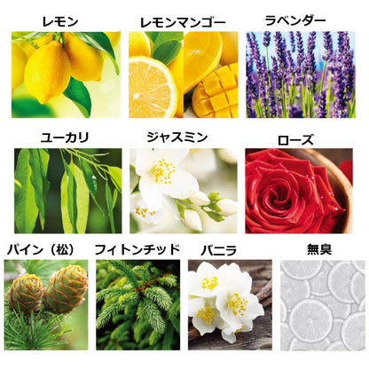 ASS フィルター (3本入り) ＜ASS＞