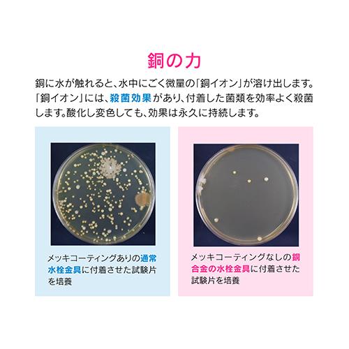 流し用浅型ゴミカゴ(銅製) ＜GA-PB012＞