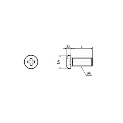 チタン精密機器用なべ小ねじ(微細ねじ)(10個入) ＜SNZT-M2＞