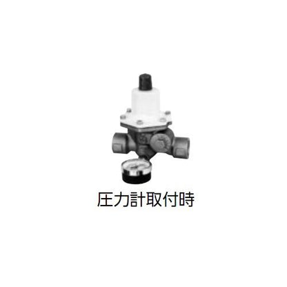 減圧弁 平静 ＜RD31NW-FL＞