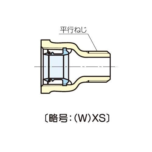 青銅コア継手(屋内配管用) アダプターチー 【まとめ割】