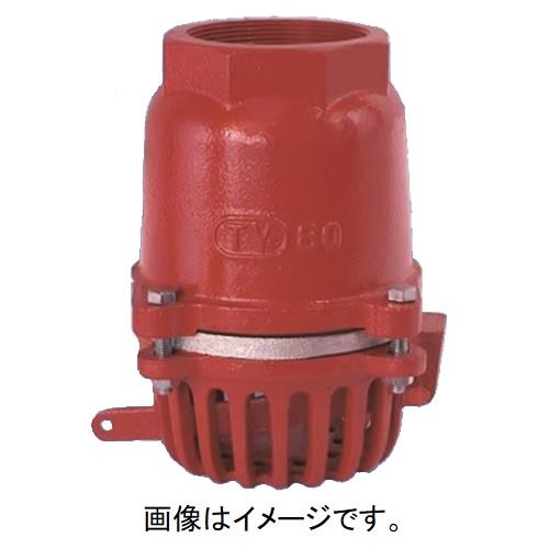 フートバルブ オール鋳鉄片開式 捻込型レバー付