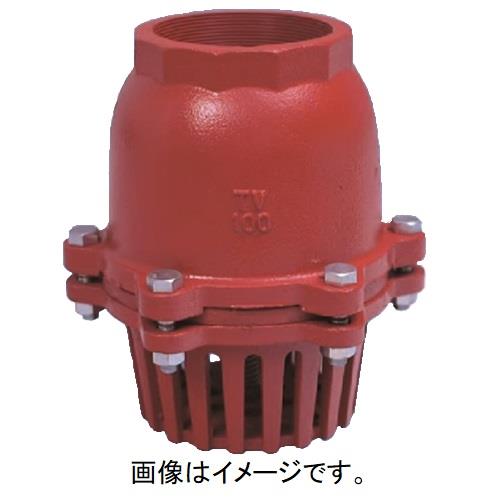 フートバルブ オール鋳鉄スプリング式 捻込型レバー無