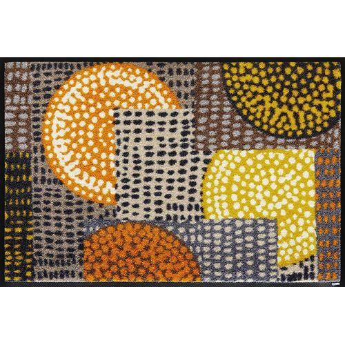 wash＋dry 50×75