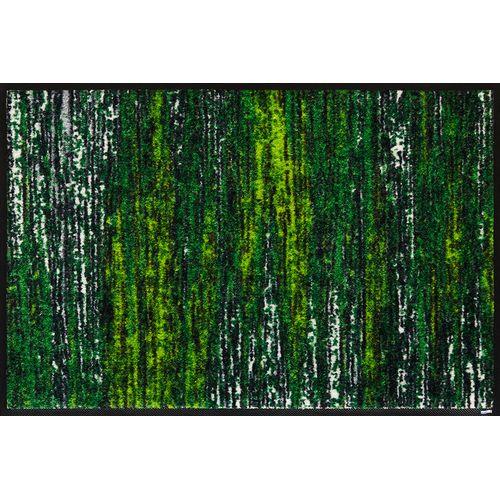 wash＋dry 50×75