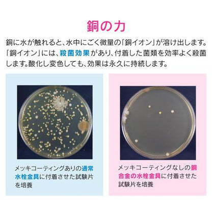 これカモ シンク用 銅製ゴミカゴ 排水口のゴミ受け (殺菌効果 ヌメリ・臭い防止 衛生的) GA-PB078