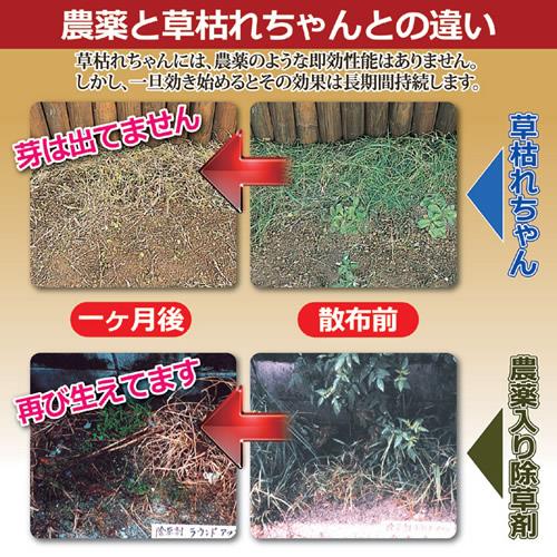 GT草枯れちゃん2kg