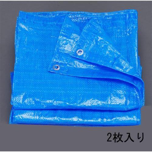 10x 10m/0.06mm ブルーシート(2枚)