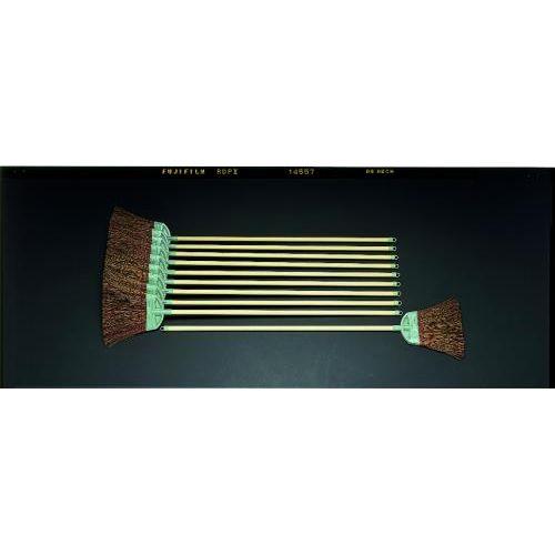 1220mm ほうき(シダ・10本組)