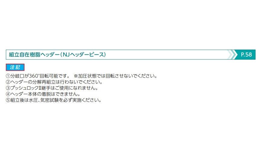 BS PM