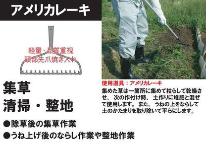 アメリカレーキ14本爪
