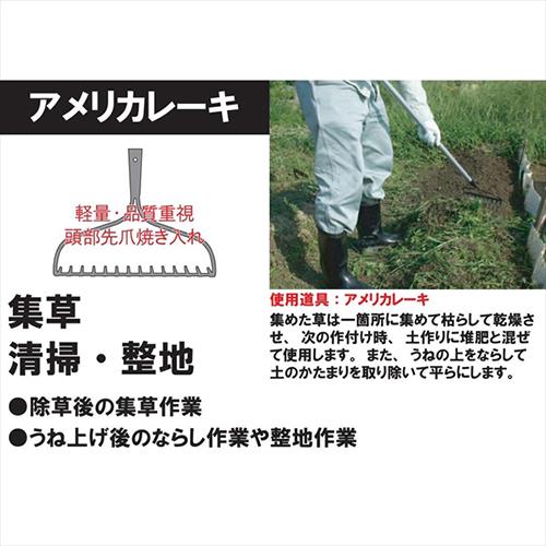 象 アメリカレーキ14本爪