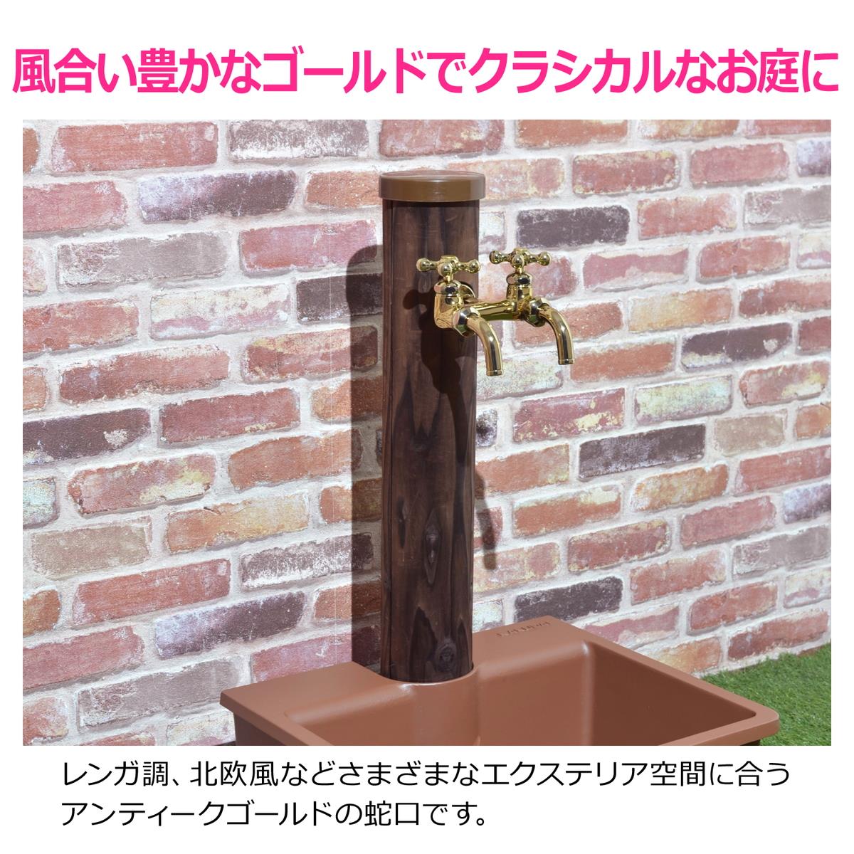 二口蛇口
