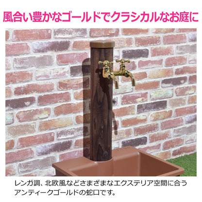 二口蛇口
