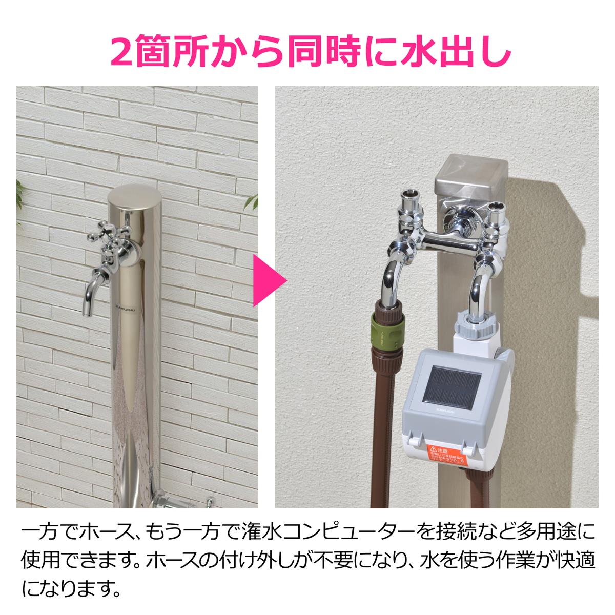 二口蛇口