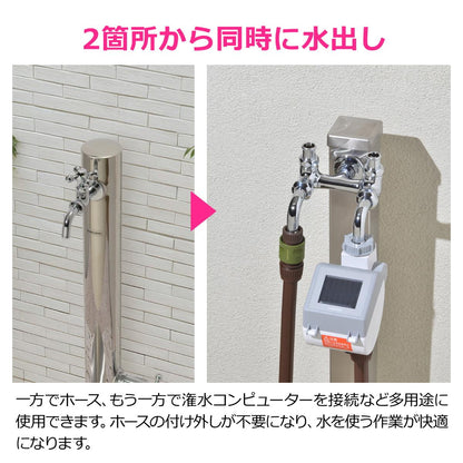 二口蛇口