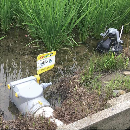 水田当番用止水栓