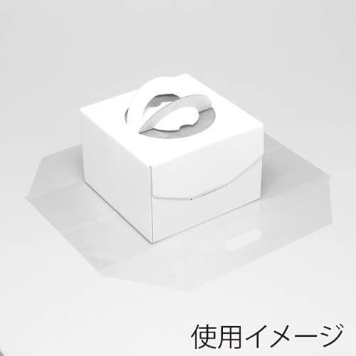 LDラップルバッグL 透明 表記入 50入
