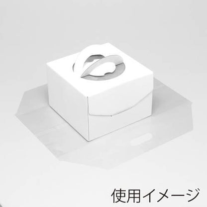 LDラップルバッグL 透明 表記入 50入