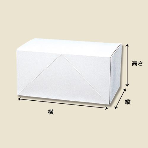 白地カートン 2 10枚入